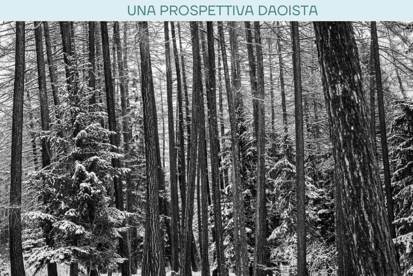 Bosco d'inverno L'inverno e i suoi elementi – Exposition de photos