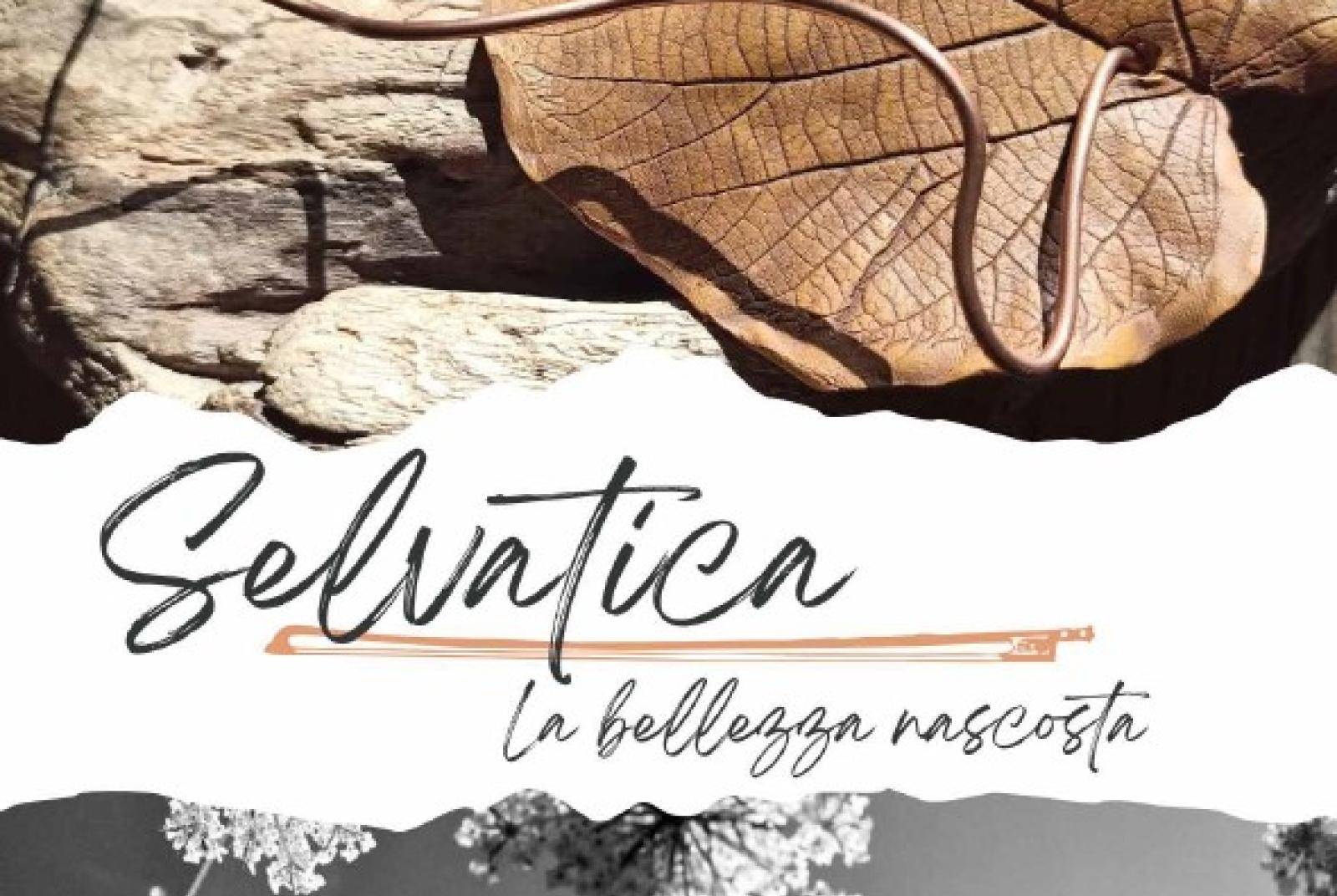 Mostra Mostra: Selvatica. La bellezza nascosta
