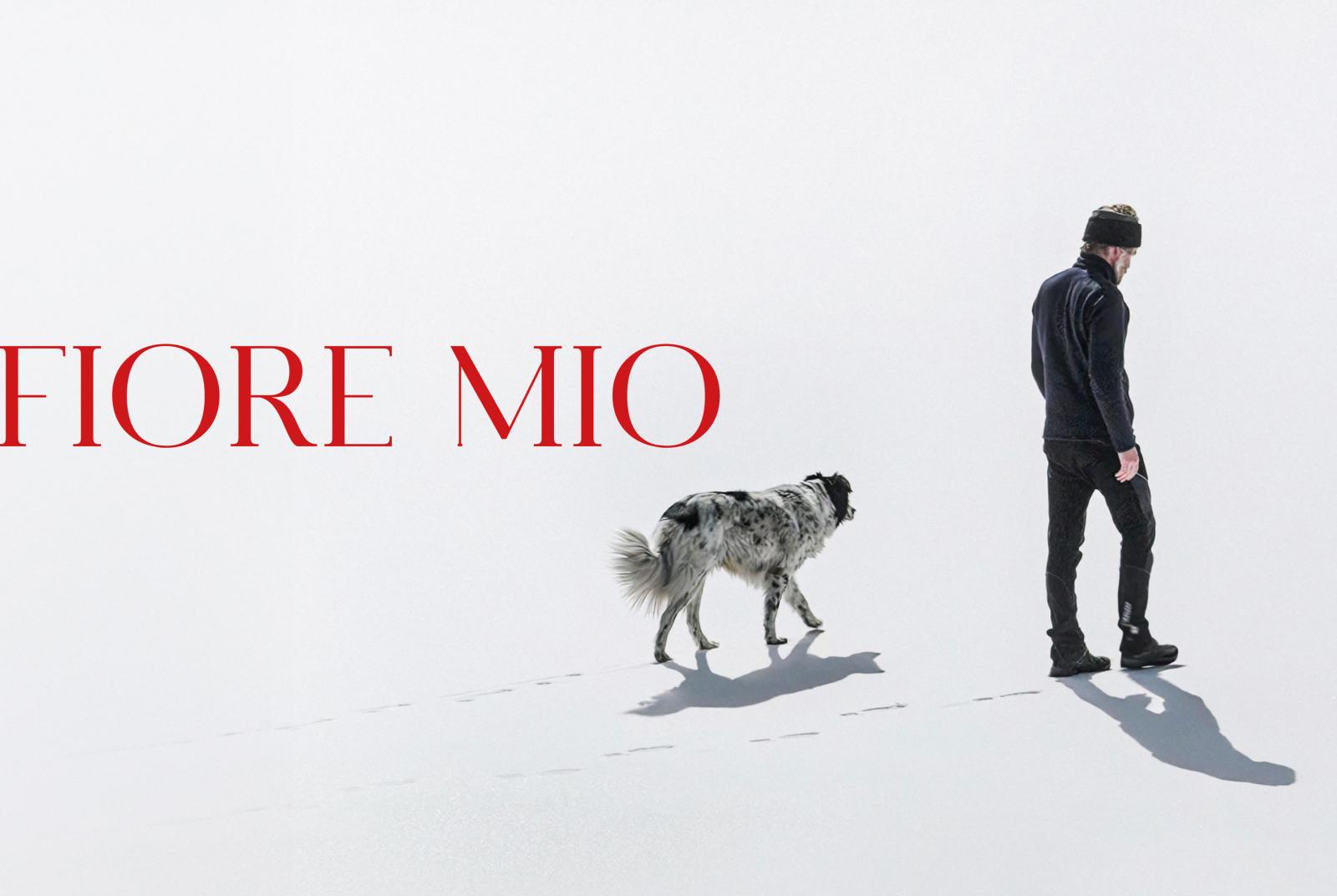 fiore mio fior mio "Fiore mio" - cinema