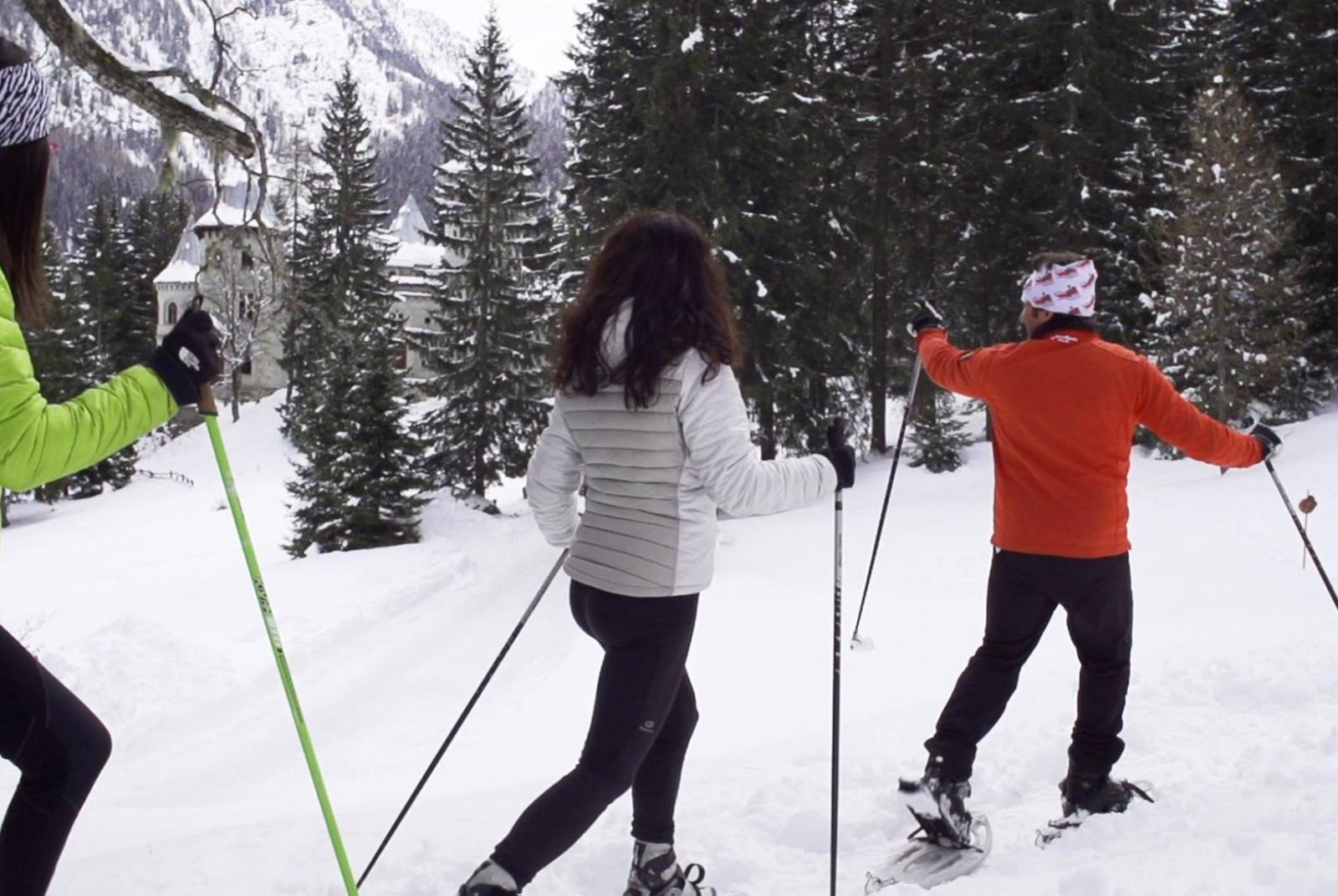 ON SNOWSHOES TO THE SAVOY CASTLE