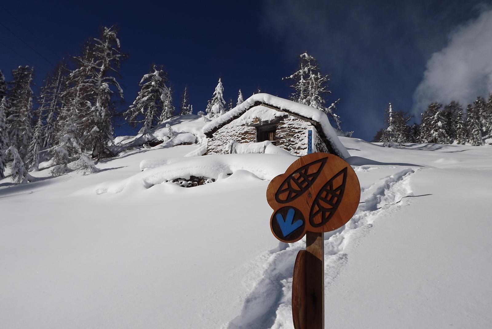 Ciaspolate a Gressoney