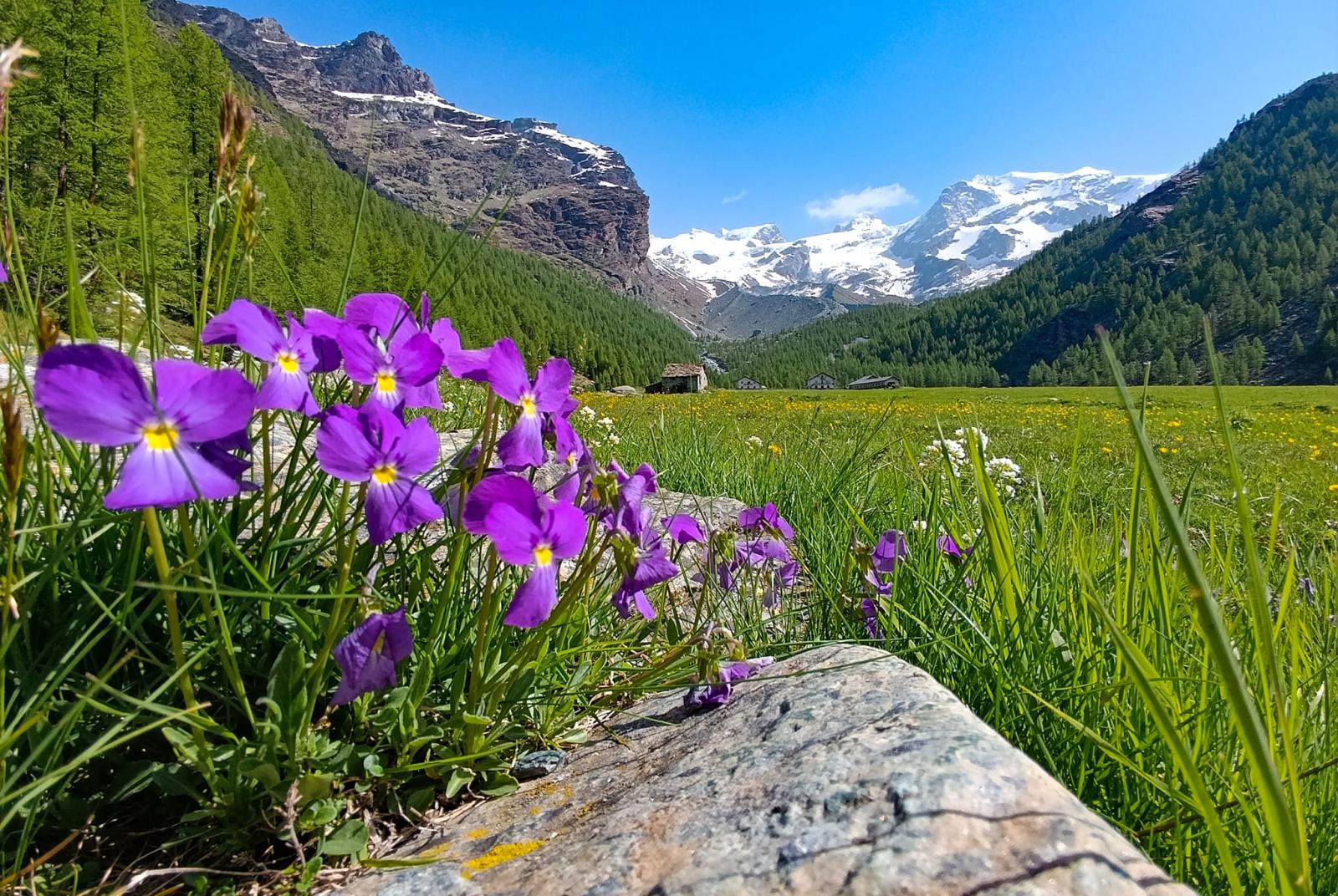Valle d'Ayas
